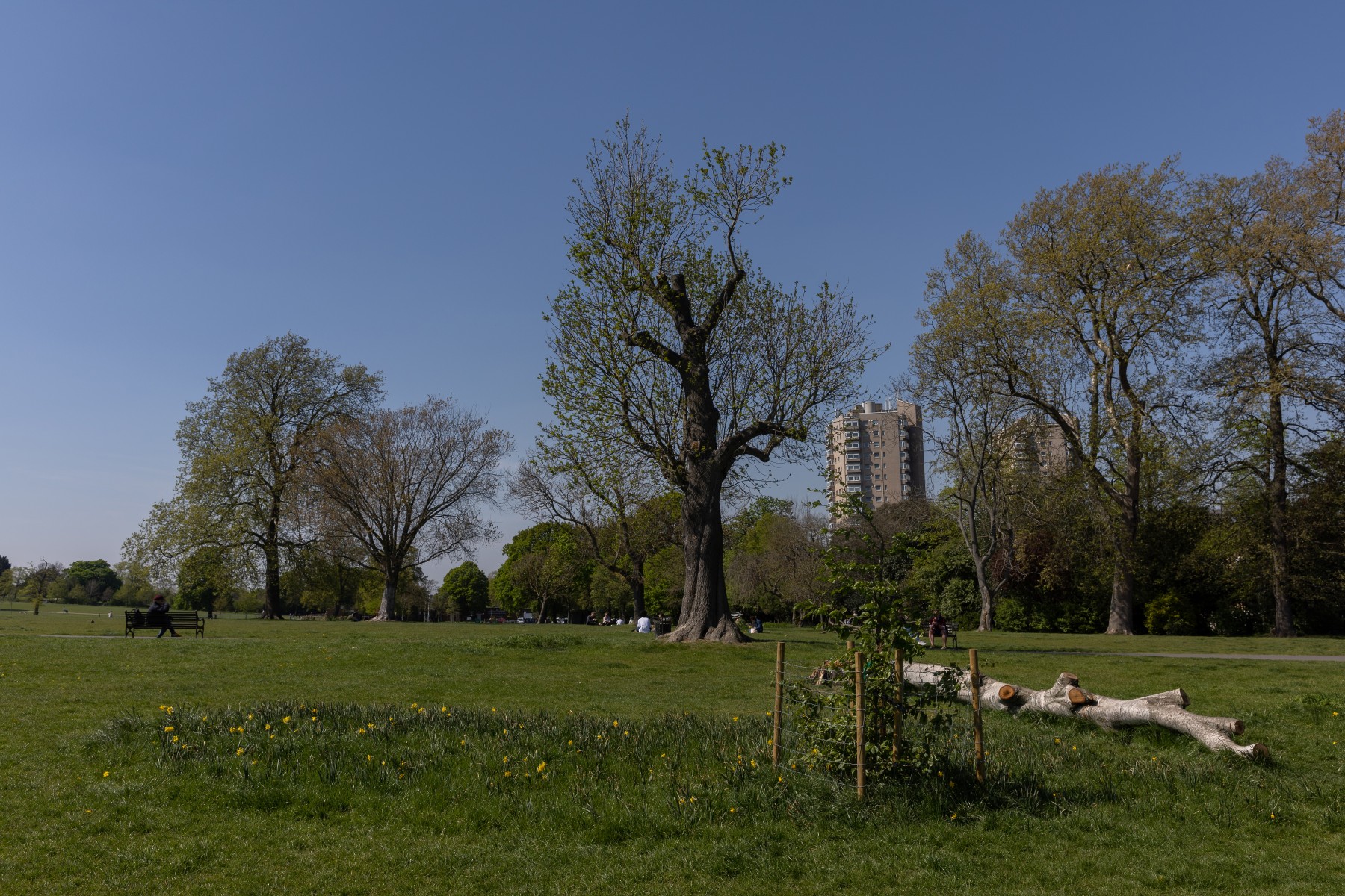Brockwell Park Film Lambeth